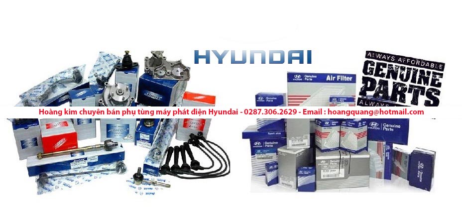 Nhà phân phối phụ tùng máy phát điện HYUNDAI - HOÀNG KIM